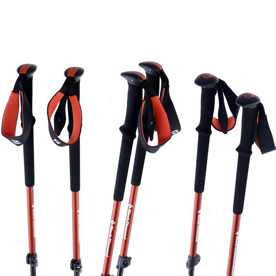 Трекінгові палиці Black Diamond Trail Picante (BD 112507.6006), зображення 4
