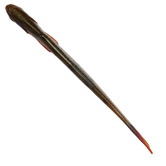 Силикон Savage Gear Craft Dying Minnow 55mm 0.7g Perch (5 шт/уп) 71934, Цвет : Perch, изображение 2