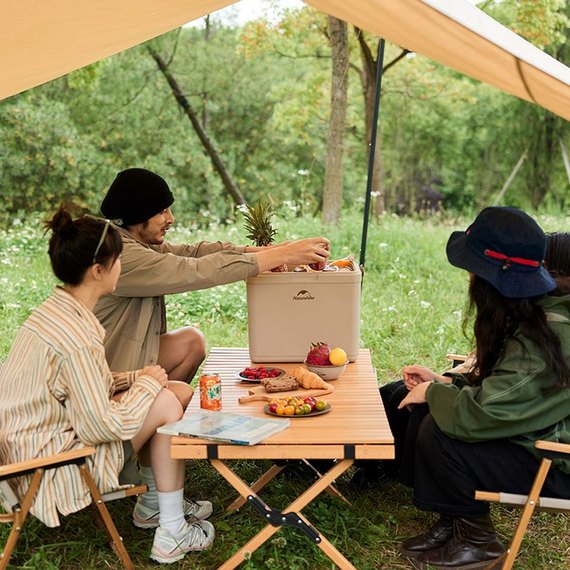 Туристический холодильник Naturehike CNK2300BS011, 13 л, бежевый (6976023925672), Объем, л : 13 л, Цвет: Бежевый, изображение 5
