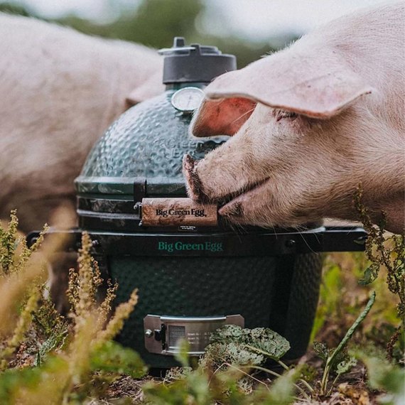 Керамический угольный гриль Big Green Egg Mini Max комплект 119650, изображение 6