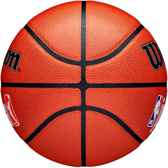 Мяч баскетбольный Wilson JR NBA Fam Logo Indoor Outdoor size 5 (WZ2009801XB5)