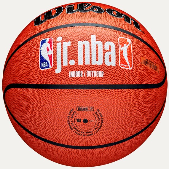 Мяч баскетбольный Wilson JR NBA Fam Logo Indoor Outdoor size 5 (WZ2009801XB5)