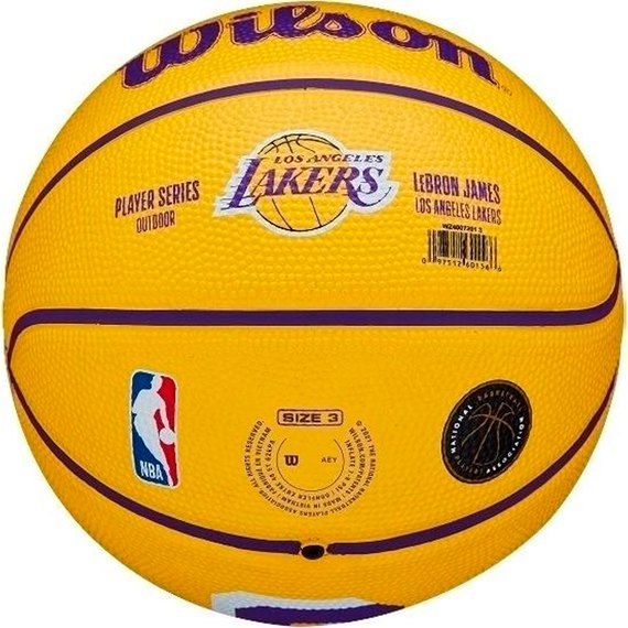 Мяч баскетбольный Wilson NBA Player Icon Mini BSKT Lebron size 3 (WZ4007201XB3)