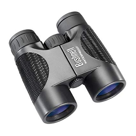 Бинокль Bushnell 10x42 H2O Roof Fullsize 151042
