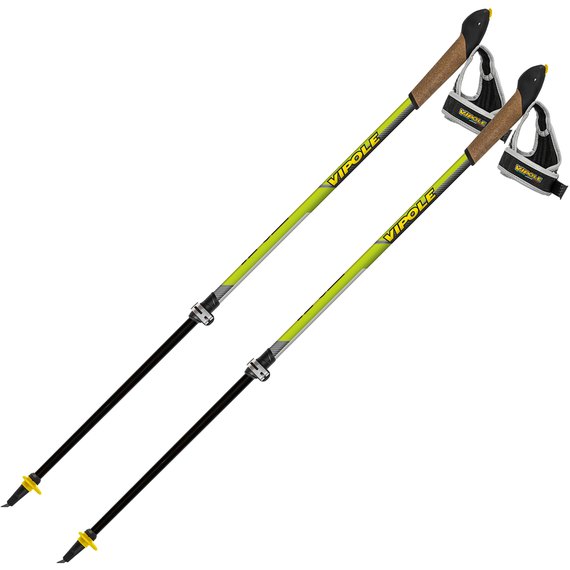 Палки для скандинавской ходьбы Vipole Instructor Vario QL Green DLX S2028 928537, Цвет: Зеленый