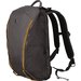 Рюкзак Victorinox Almont Everyday Laptop Active Grey 13л (Vt602133), Цвет: Серый